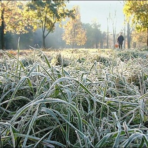 Синоптики пообещали заморозки до −3