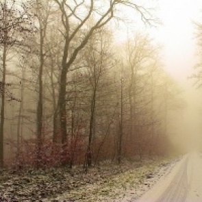 Выходные будут холодные: с дождём и снегом
