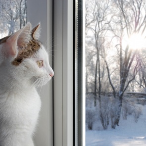 В Ачинске на этой неделе похолодает до - 10