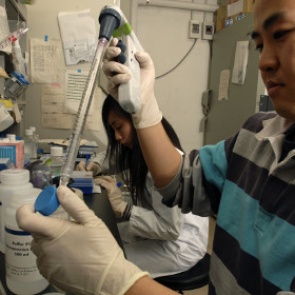 Аргентинская семья клонировала домашнего пса