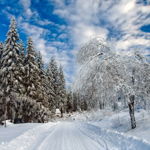 30-градусные морозы продержатся в Ачинске  до среды