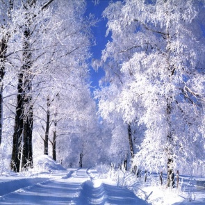 В предстоящие выходные в Ачинске будет очень тепло