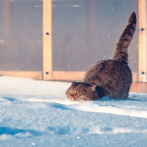 На выходных в Ачинск придет потепление