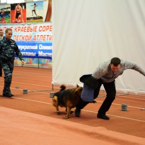 В Ачинске состоялась профориентационная акция военных профессий