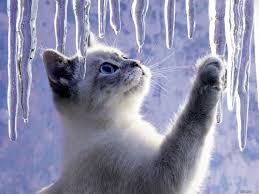 Погода на грядущую неделю: тепло и пасмурно