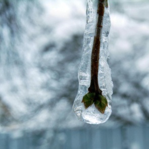 Потепление до +7 приходит в Ачинск