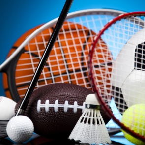 Победы спортсменов детско-юношеской спортивной школы «Центр игровых видов спорта»