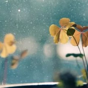 Теплые выходные с весенним дождем пообещали синоптики