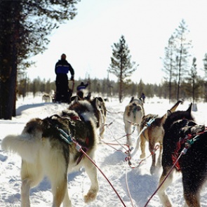 Названа самая безопасная страна в мире