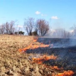 Жечь траву в Красноярском крае станет «дороже»