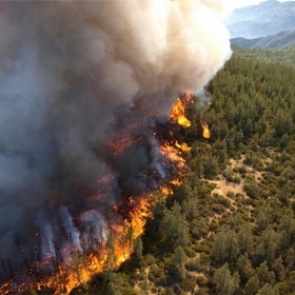 Сибирь объявлена зоной ЧС из-за пожаров
