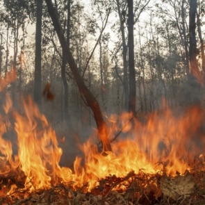 150 населенных пунктов края удалось спасти от наступающего с полей огня