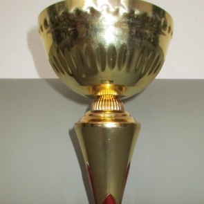 Команда школы №8 стала победителем зональных соревнований по регби