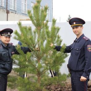 В Ачинске полицейские и ветераны ОВД приняли участие в акции «Сбережем лес вместе»