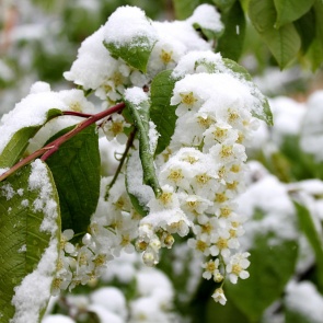 Предупреждение об опасных и неблагоприятных условиях погоды 18 мая
