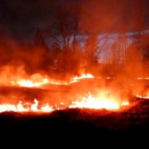 Число лесных пожаров в Красноярском крае сократили втрое