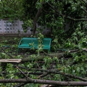 Количество пострадавших от урагана в Москве приблизилось к 140