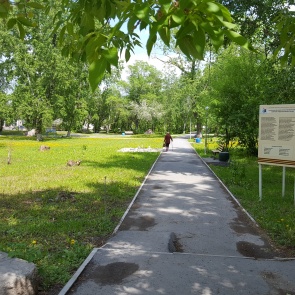 В Троицком парке установят камеры видеонаблюдения и введут дежурство