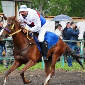 Ачинский ипподром «Аргамак» открыл летний сезон масштабным конноспортивным праздником
