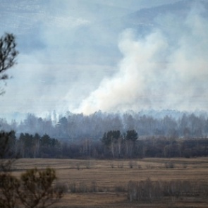 Прокуратура признала право на жилье пожаловавшейся Путину матери-одиночки