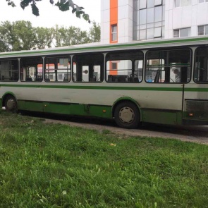 Водитель автобуса получил 5 суток административного ареста за оставление места ДТП