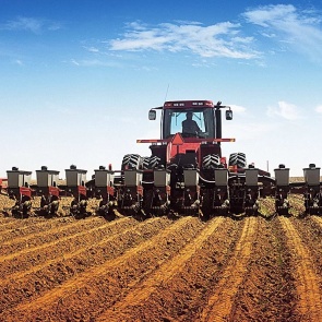 Под урожай в Красноярском крае засеяли более миллиона гектаров