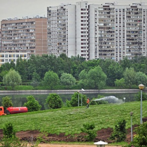 На берегу Москвы-реки нашли десяток пакетов и коробки с человеческими останками
