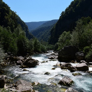 В Абхазии рассказали о массовых отказах туристов от поездок в республику