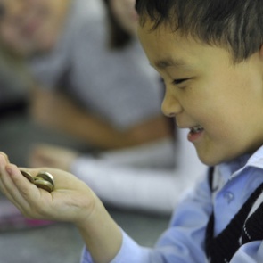 Российских школьников научат основам предпринимательства