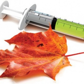 В край доставили первую партию вакцин от гриппа