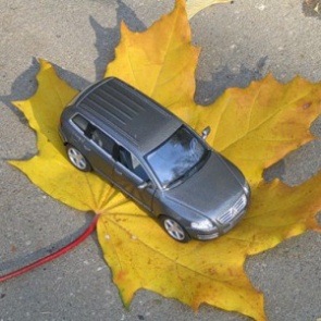 Госавтоинспекторы в Ачинске приняли участие  в акции «День без автомобиля»