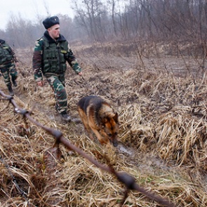 Украина вернула в собственность часть границы с Венгрией