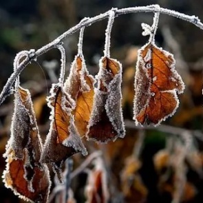 Ноябрь в Ачинске начнется с потепления