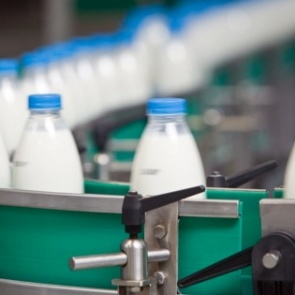 Каждый 10-й молочный продукт в Красноярском крае оказался фальсификатом