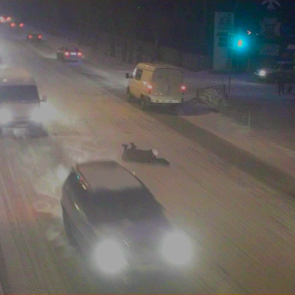 В Ачинске задержан водитель, совершивший наезд на пенсионерку