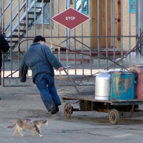 Российские заключенные начнут кормить себя сами