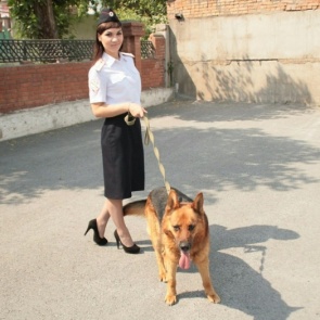 Полицейские Красноярского края присоединились к празднику День домашних животных