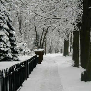 Наступившая неделя в Ачинске будет ветренной не особо морозной