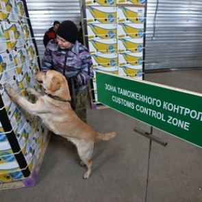 Новогодние подарки россиян оказались под угрозой из-за таможни