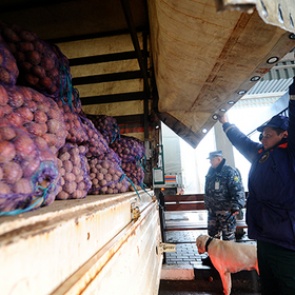ООН перестанет кормить Донбасс из-за нехватки денег