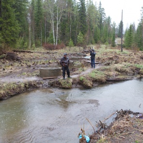 Министерство экологии снова ищет сотрудников