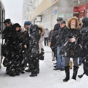 В Ачинске открыта горячая телефонная линия «Сообщи, если пассажирский автобус пришел не вовремя»
