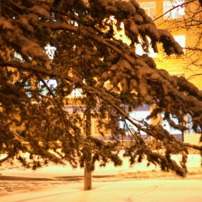 Полицейские подвели итоги охраны общественного порядка в период новогодних праздников