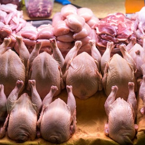 Куриное мясо в России оказалось опасным для жизни