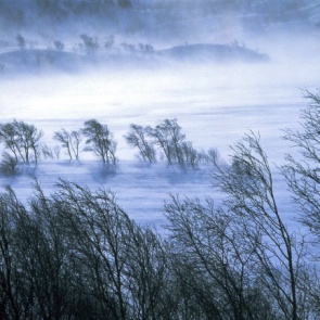 В край придут метели