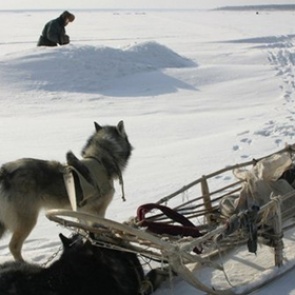 Собака застрелила охотника в Поволжье