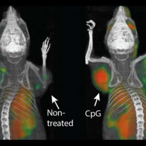 Ученые побороли неизлечимый рак