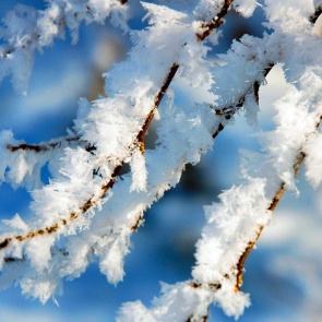 Синоптики обещают теплые и снежные выходные