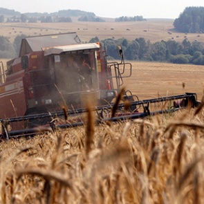 Россия договорилась с Китаем о поставках пшеницы