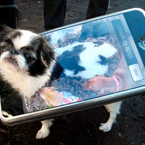 Хакеры научились взламывать любой iPhone